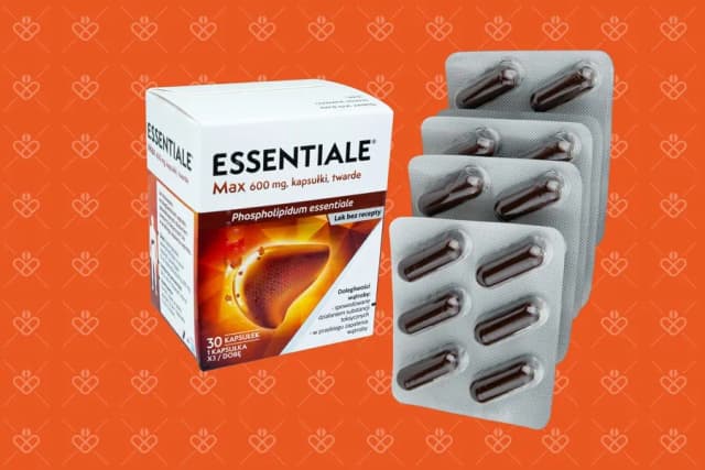 Czy można pić alkohol stosując Essentiale Forte? Wszystko co musisz wiedzieć Czy można pić alkohol stosując Essentiale Forte? Wszystko co musisz wiedzieć