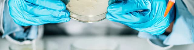 Jak założyć laboratorium mikrobiologiczne - kluczowe wymagania i procedury Jak założyć laboratorium mikrobiologiczne - kluczowe wymagania i procedury