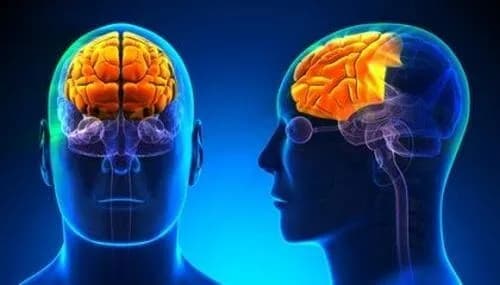 Czym są zaburzenia funkcji poznawczych? Objawy, przyczyny i sposoby radzenia sobie Czym są zaburzenia funkcji poznawczych? Objawy, przyczyny i sposoby radzenia sobie