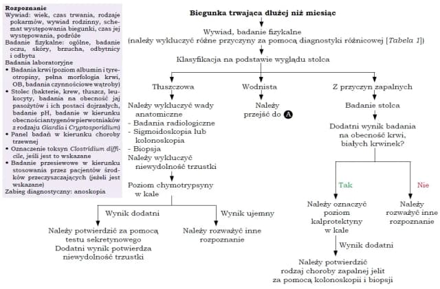 Częste biegunki jakie badania: co powinieneś wiedzieć o diagnostyce Częste biegunki jakie badania: co powinieneś wiedzieć o diagnostyce