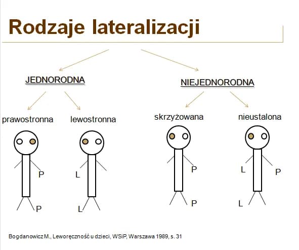 Zaburzenia lateralizacji objawy – jak rozpoznać i wpłynąć na codzienne życie? Zaburzenia lateralizacji objawy – jak rozpoznać i wpłynąć na codzienne życie?