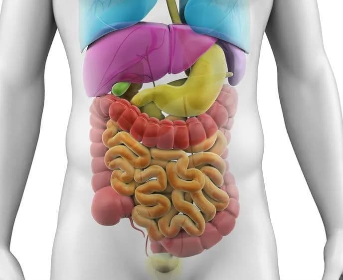 Objawy zaburzeń wchłaniania jelitowego – co powinieneś wiedzieć i jak reagować Objawy zaburzeń wchłaniania jelitowego – co powinieneś wiedzieć i jak reagować