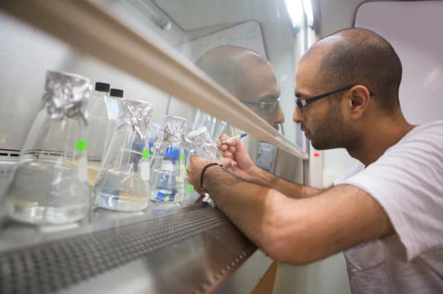 Ile zarabia kierownik laboratorium? Odkryj zaskakujące zarobki! Ile zarabia kierownik laboratorium? Odkryj zaskakujące zarobki!