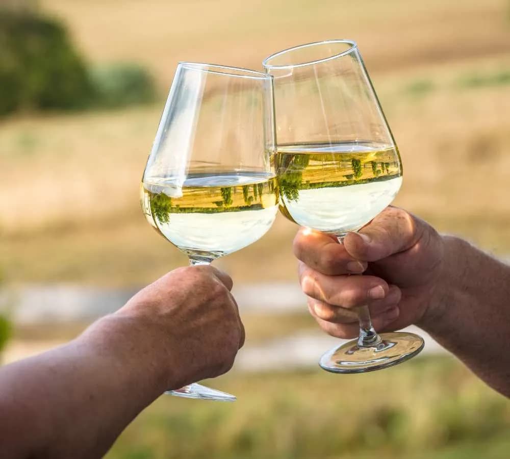 Czy przy stomii można pić alkohol - kompletny poradnik dla pacjentów Czy przy stomii można pić alkohol - kompletny poradnik dla pacjentów
