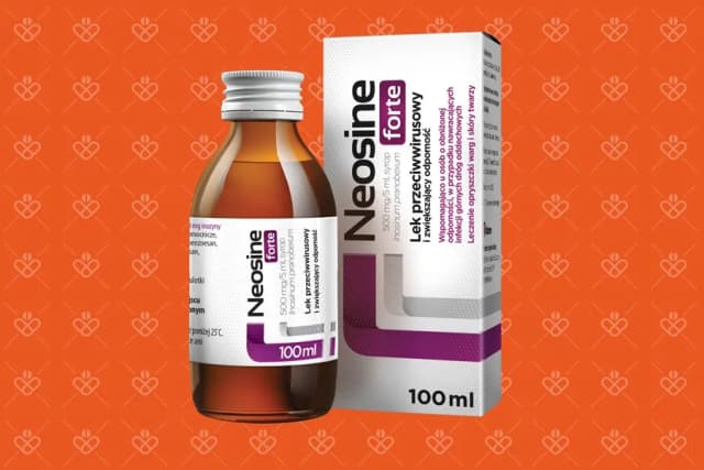 Neosine forte w trakcie picia alkoholu - poznaj zasady bezpiecznego łączenia Neosine forte w trakcie picia alkoholu - poznaj zasady bezpiecznego łączenia